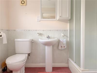 Picture 15